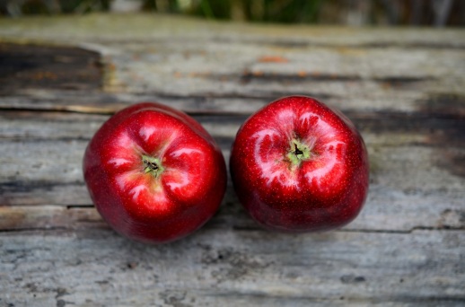 apple-red-red-apple-fruit
